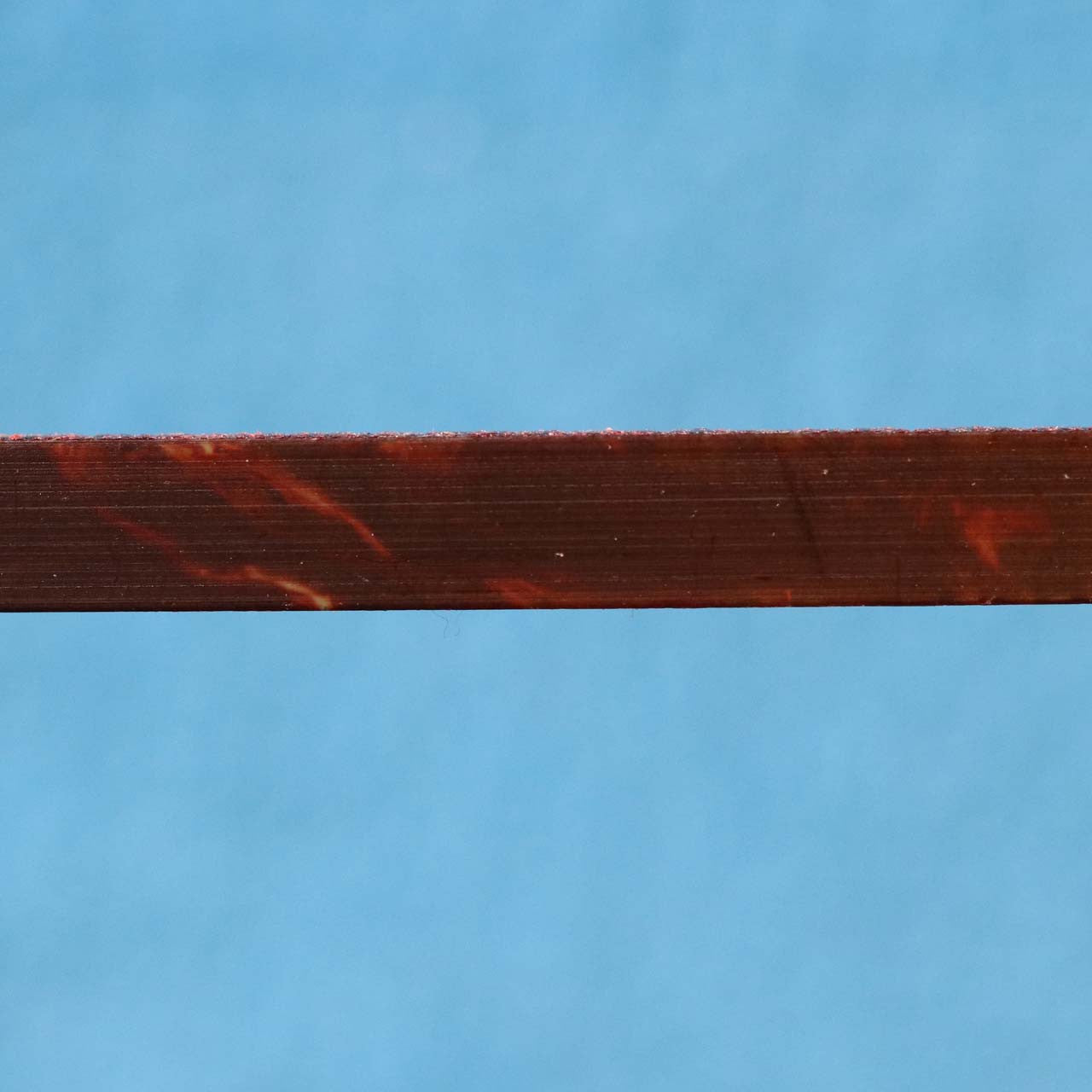 Tortoise synthetic Strips